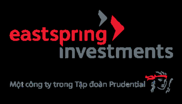 Biểu đồ tăng trưởng ổn định của danh mục đầu tư đa dạng hóa